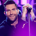 Adam Levine (Maroon 5) : l'interview !