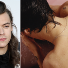 Harry Styles : son premier album solo sortira le...