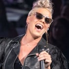 Pink en concert en France en juillet 2019 !