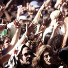 Les festivals en danger financier ?