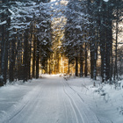 Janvier : les coups de coeur de la rédaction