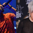 Ces artistes qui boudent les Victoires de la musique !