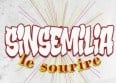 Sinsemilia est de retour avec "Le sourire"
