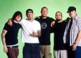 Limp Bizkit : "Gold Cobra", leur nouveau clip