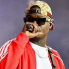 Ninho de retour avec "5 bleus"