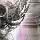 Rencontre avec Laura Scariot alias Stella