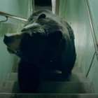 The Shoes : le clip que l'on regarde les yeux fermés