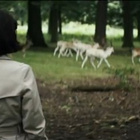 Va faire un tour dans les bois avec Metronomy