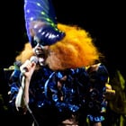 Björk : en pleine tournée, elle a failli perdre sa voix