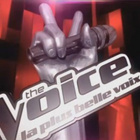 "The Voice" : le casting des jurés se précise
