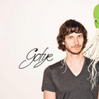Radio/TV : Gotye leader presque partout