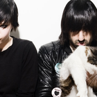 Les Crystal Castles, c'est fini !