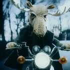 "Wild Frontier" : The Prodigy passe au gore