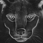 Disclosure : "Caracal" sortira à la rentrée