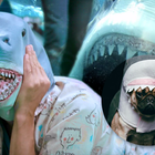 We Are Match : un requin-carlin dans "The Shark"