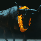 "Black Bull" : Foals prend le taureau par les cornes