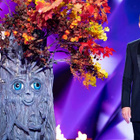 Mask Singer : qui est l'Arbre ?