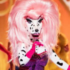Mask Singer : qui est le Dalmatien ?
