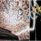 U2 : son concert bluffant à Las Vegas