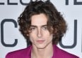 Timothée Chalamet en Bob Dylan pour un biopic