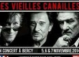 Le live des "Vieilles Canailles" en novembre