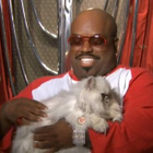 Cee-Lo Green remixe une pub pour les chats
