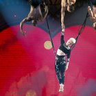 Pink a choisi son nouveau single, "True Love"