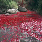 "Berlin" de RY X explose grâce à la pub Sony