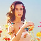Katy Perry promet le single "Legendary Lovers"