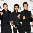American Music Awards 2014 : 1D consacré !