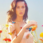Katy Perry : une réédition de "Prism" en projet ?