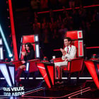 La tournée "The Voice" 2015 : qui chantera ?