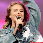 Zara Larsson : un show sexy !