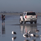 The Killers dévoile une charge anti-Trump