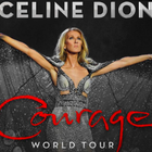 Céline Dion : une tournée mondiale et un album