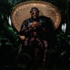 Vegedream : nouvel album en juillet