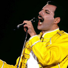 Le concert hommage à Freddie Mercury en ligne