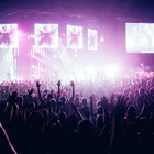 Live Nation perd 98% de ses revenus