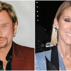 Johnny Hallyday chanteur le plus marquant