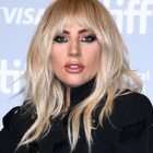 Deux des chiens de Lady Gaga ont été volés