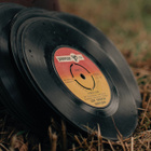 Novembre : les coups de coeur de la rédaction