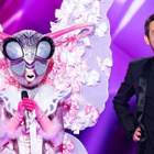 Mask Singer : qui est le Papillon ?