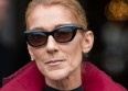 Céline Dion critiquée sur TPMP
