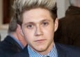 Niall (One Direction) blessé par un fan !