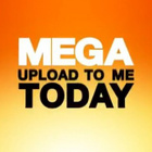 Quand les stars chantent pour... MegaUpload !