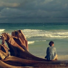 "Waves" : le tube de Mr. Probz séduit l'Europe