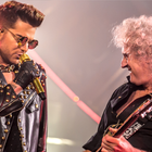 Queen + Adam Lambert : un show démesuré