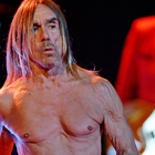 L'insolente vitalité d'Iggy Pop sur scène