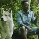 Black M de retour avec "La nuit porte conseil"