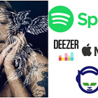 Le streaming et Renaud sauvent le marché 2016